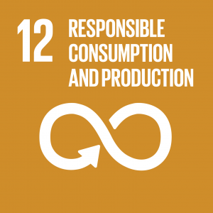 UN SDG 12 - responsible consumption and production