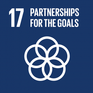 UN SDG 17 - partnership for the goals