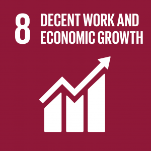 UN SDG 8 - decent work and economic growth